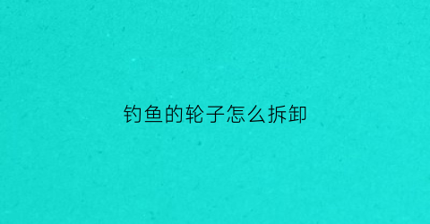 钓鱼的轮子怎么拆卸(钓鱼轮的使用教程)