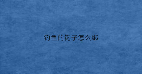 钓鱼的钩子怎么绑(钓鱼的鱼钩怎么绑)