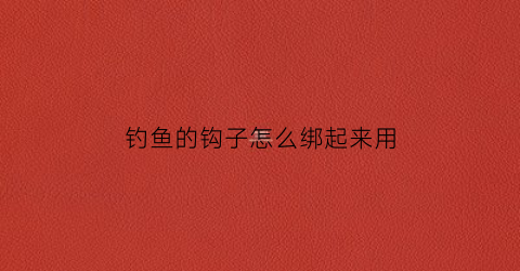 钓鱼的钩子怎么绑起来用(钓鱼的钩子怎么绑起来用线)