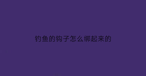钓鱼的钩子怎么绑起来的(钓鱼钩怎么绑扎)