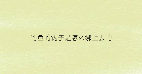 钓鱼的钩子是怎么绑上去的(钓钩怎样绑)