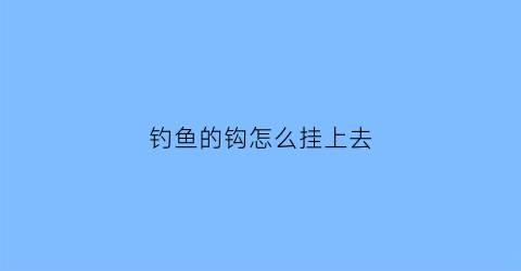 “钓鱼的钩怎么挂上去(钓鱼鱼钩怎么挂)