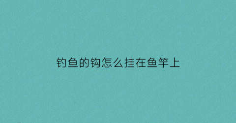 “钓鱼的钩怎么挂在鱼竿上(钓钩怎么绑在鱼竿上)