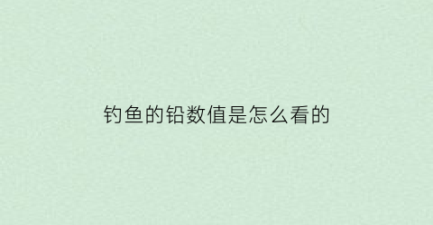 钓鱼的铅数值是怎么看的(钓鱼铅一般多重)