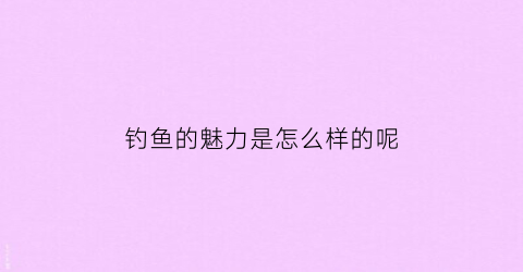 钓鱼的魅力是怎么样的呢(钓鱼的境界你不懂)