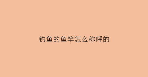 钓鱼的鱼竿怎么称呼的(鱼竿的称呼有哪些)