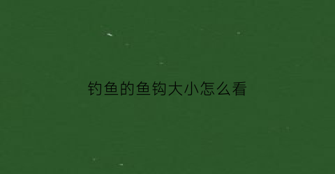 钓鱼的鱼钩大小怎么看(钓鱼的鱼钩大小怎么看图解)