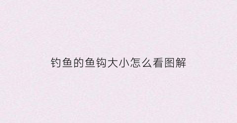 钓鱼的鱼钩大小怎么看图解(钓鱼的鱼钩大小怎么看图解视频)