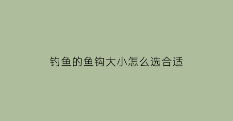 “钓鱼的鱼钩大小怎么选合适(钓鱼钩怎样选大小)