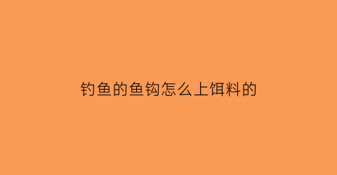 “钓鱼的鱼钩怎么上饵料的(如何给鱼钩上饵料)