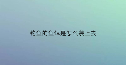 “钓鱼的鱼饵是怎么装上去(钓鱼怎么装饵料)