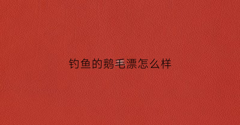 钓鱼的鹅毛漂怎么样(钓鱼的鹅毛漂怎么样用)