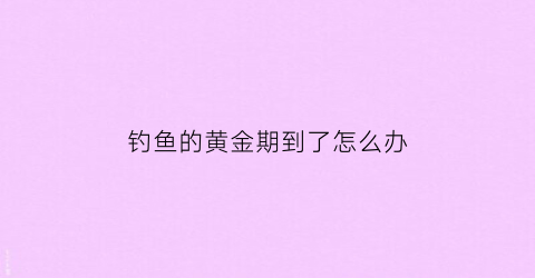 钓鱼的黄金期到了怎么办(钓鱼时间到了)