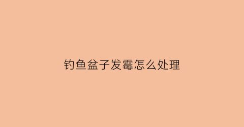 钓鱼盆子发霉怎么处理(钓鱼的盆子)