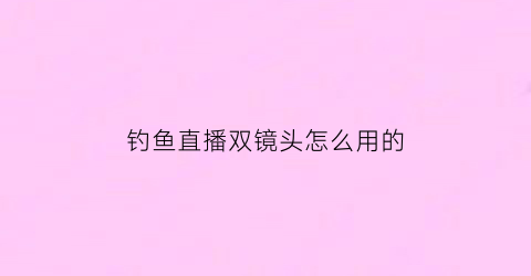 “钓鱼直播双镜头怎么用的(钓鱼直播双镜头怎么用的啊)