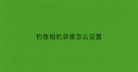钓鱼相机录像怎么设置(钓鱼自拍摄像机)