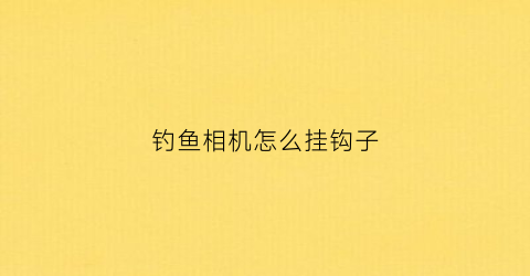 钓鱼相机怎么挂钩子(钓鱼运动相机装在什么位置)