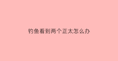 “钓鱼看到两个正太怎么办(钓鱼看到两个正太怎么办呢)