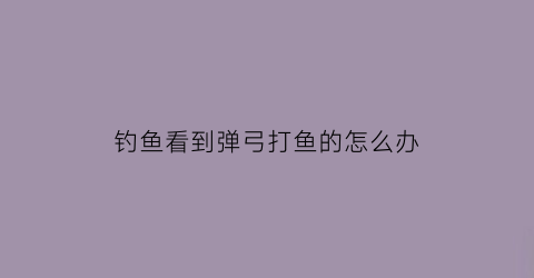 钓鱼看到弹弓打鱼的怎么办(拿弹弓打鱼)