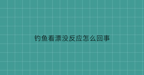 “钓鱼看漂没反应怎么回事(钓鱼看漂看不清楚怎么办)