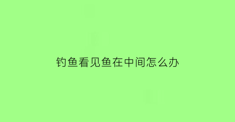 钓鱼看见鱼在中间怎么办(鱼看到钩有影响吗)