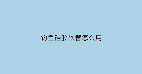 钓鱼硅胶软管怎么用(钓鱼硅胶软珠怎么样)