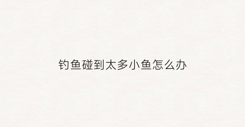 钓鱼碰到太多小鱼怎么办(钓鱼遇到小鱼太多怎么办)