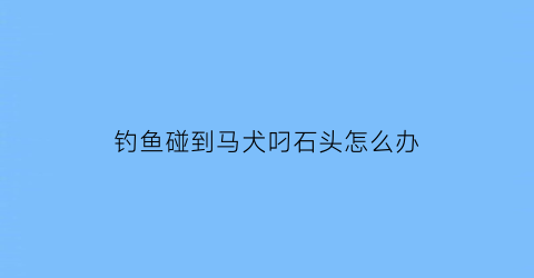 钓鱼碰到马犬叼石头怎么办