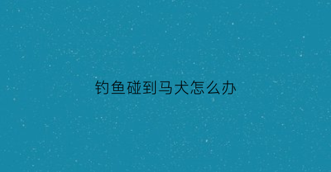 钓鱼碰到马犬怎么办(钓鱼钓到狗)