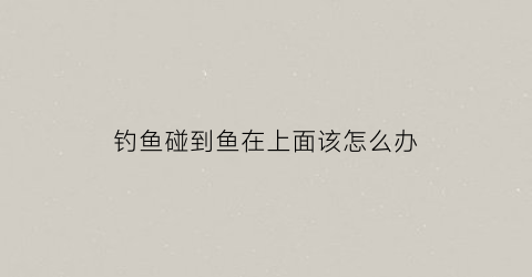 钓鱼碰到鱼在上面该怎么办(钓到大鱼往河中间游怎么办)