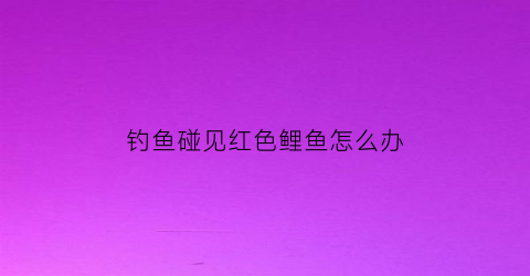 钓鱼碰见红色鲤鱼怎么办(钓到红鲤鱼会带来好运)