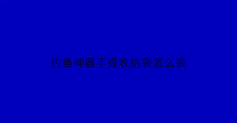 钓鱼神器手提收纳袋怎么装(钓鱼手提袋是哪个品牌好)