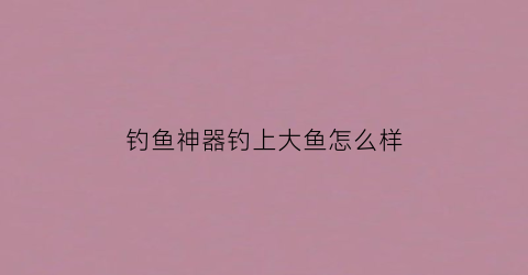 钓鱼神器钓上大鱼怎么样(钓鱼神器制作方法)