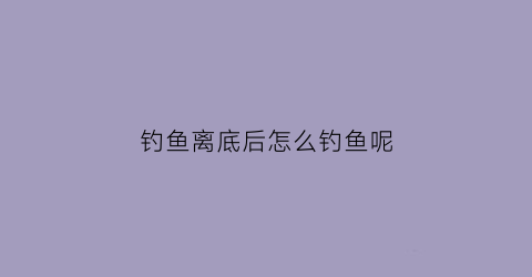 钓鱼离底后怎么钓鱼呢(钓鱼如何钓离底)