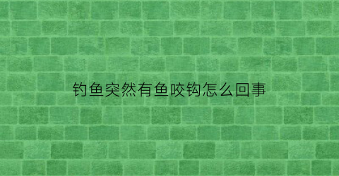 钓鱼突然有鱼咬钩怎么回事(有鱼咬钩但是钓不上来怎么调漂)