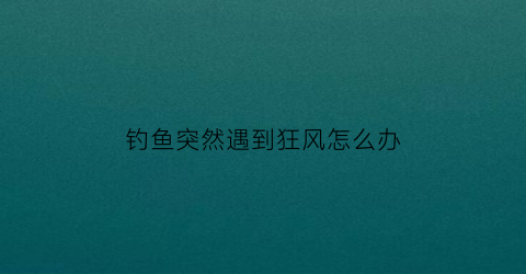 钓鱼突然遇到狂风怎么办(钓鱼时风大怎么办)