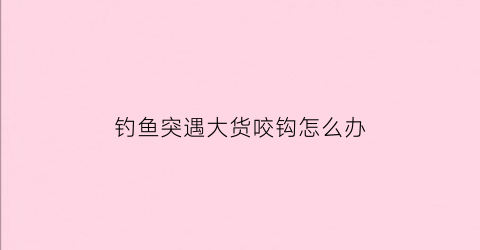 “钓鱼突遇大货咬钩怎么办(钓鱼突遇大货咬钩怎么办)