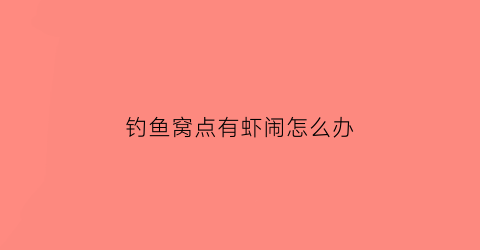 钓鱼窝点有虾闹怎么办(钓鱼有虾闹窝子怎么办)
