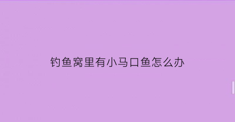 “钓鱼窝里有小马口鱼怎么办(钓鱼窝里有小马口鱼怎么办视频)