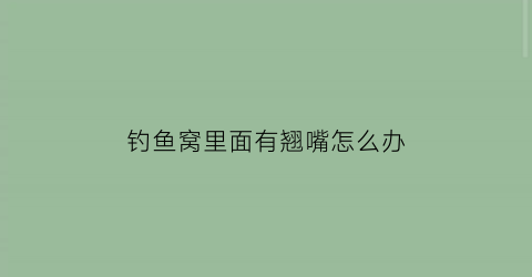 “钓鱼窝里面有翘嘴怎么办(钓鱼窝内有蟹怎么办)