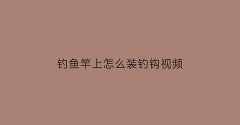 “钓鱼竿上怎么装钓钩视频(钓鱼竿上怎么装钓钩视频讲解)