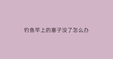 钓鱼竿上的塞子没了怎么办(鱼竿塞住了怎么解决)