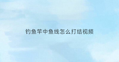 钓鱼竿中鱼线怎么打结视频(鱼杆的线怎么打结)