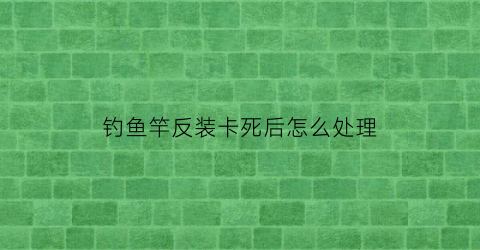 “钓鱼竿反装卡死后怎么处理(鱼竿上反卡住怎么办)