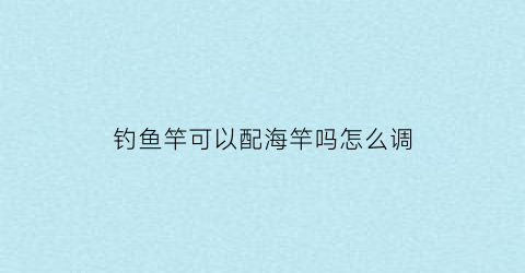 钓鱼竿可以配海竿吗怎么调(钓鱼竿可以配海竿吗怎么调配)