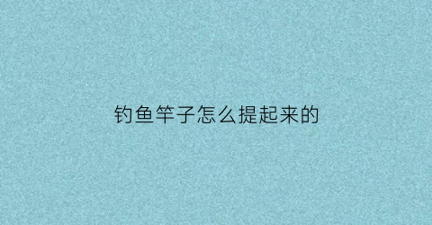 钓鱼竿子怎么提起来的(钓鱼竿怎么搞)