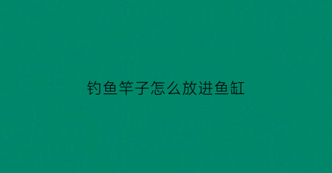 钓鱼竿子怎么放进鱼缸(钓鱼鱼竿怎么装)