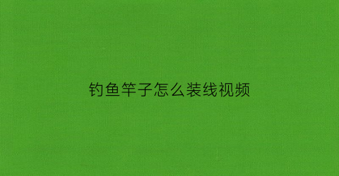 钓鱼竿子怎么装线视频(鱼竿装线教程手竿)