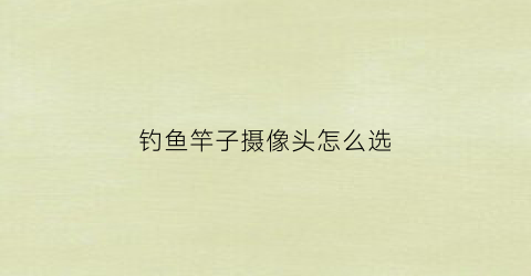 钓鱼竿子摄像头怎么选(钓鱼竿子摄像头怎么选好)
