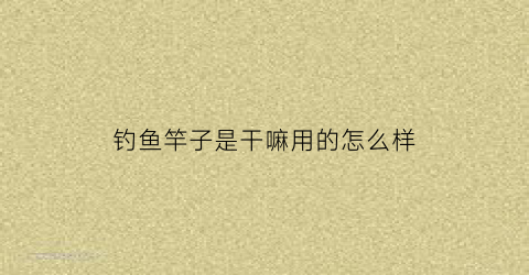 钓鱼竿子是干嘛用的怎么样(钓鱼竿的竿是什么竿)